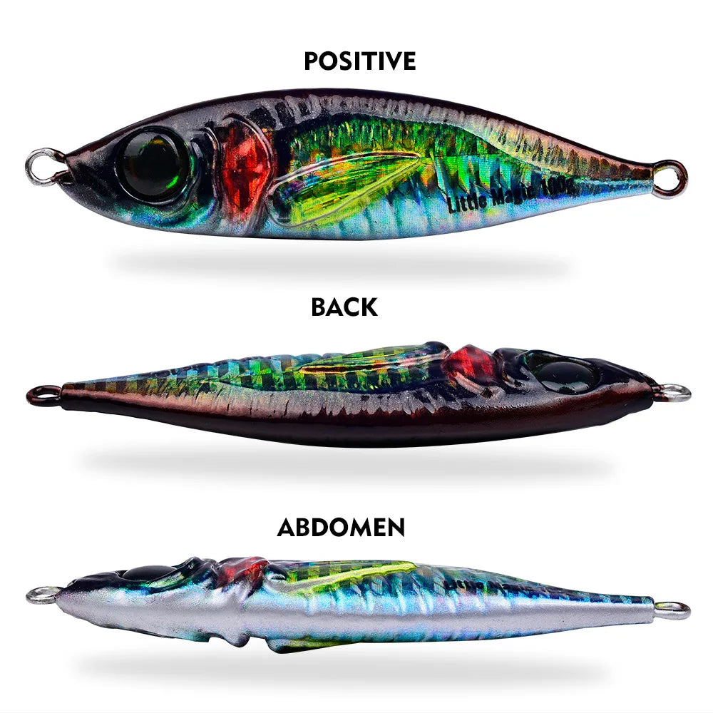 PROBEROS Sardine